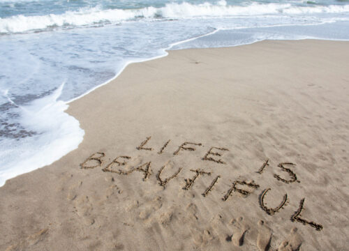 Beyond Beaches (Top 5 things to do in Goa)