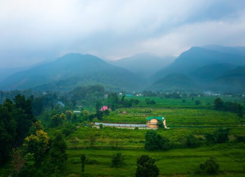 Make Your Visit Memorable With The Best Homestay In Jim Corbett