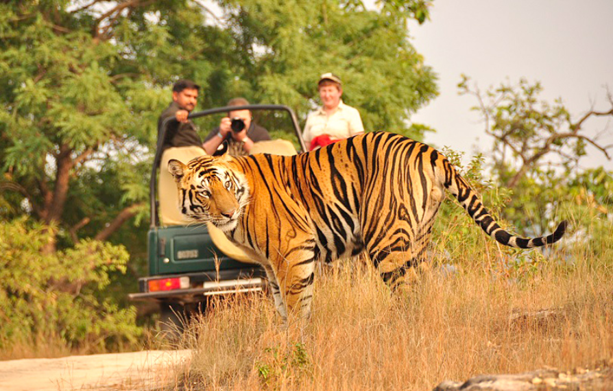 Jim Corbett National Park