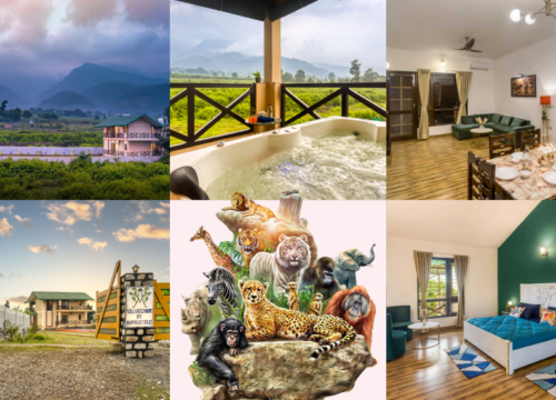 A Perfect Getaway: Best Things to Do in Nainital and Jim Corbett National Park