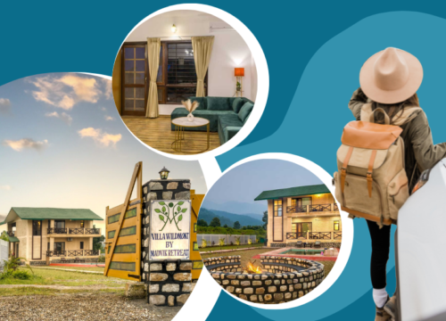 Luxury Amidst the Mountains: How Villas and Homestays in Nainital Elevate Your Travel Experience